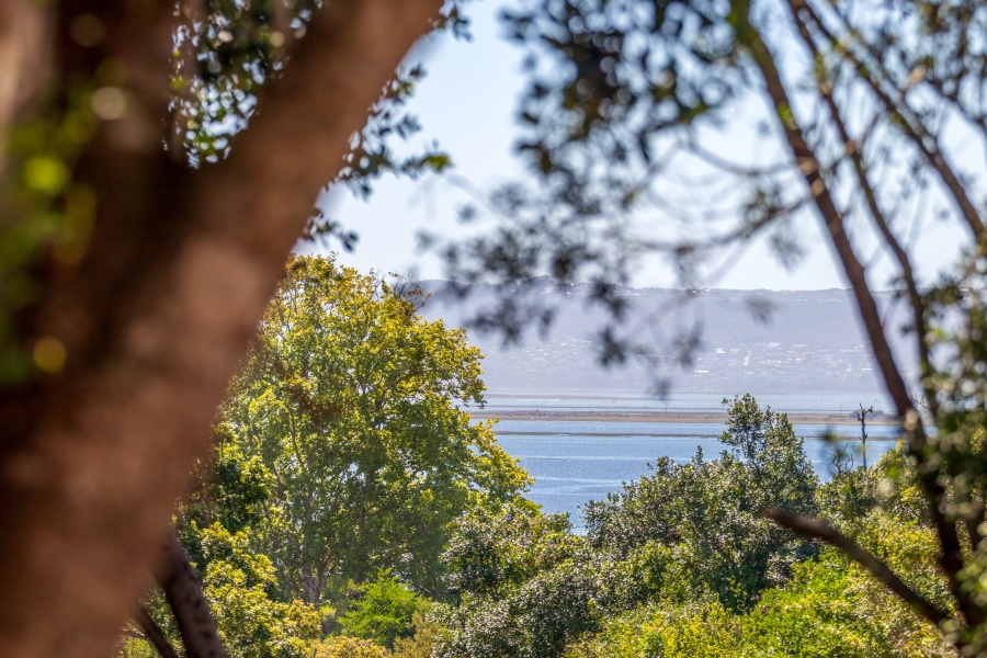 0 Bedroom Property for Sale in Belvidere Estate Western Cape